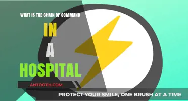 Understanding the Hospital Chain of Command: Roles, Responsibilities, and Hierarchy