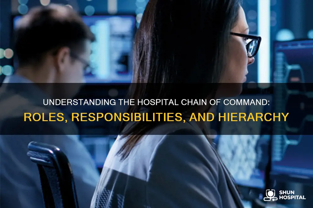 what is the chain of command in a hospital