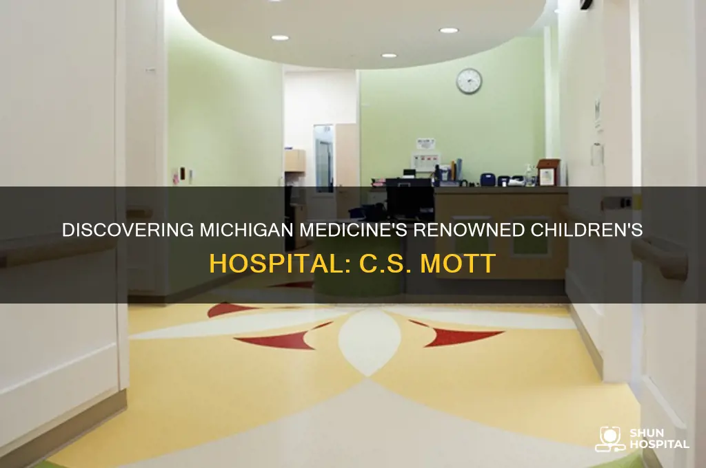 what is the childrens hospital at michigan medicine called