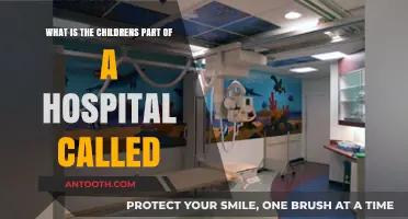 Understanding Pediatric Wards: The Children's Section in Hospitals Explained