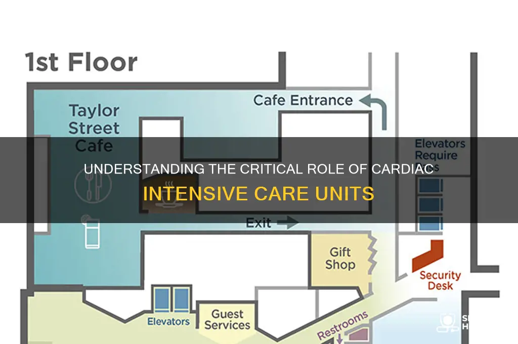 what is the cicu in a hospital