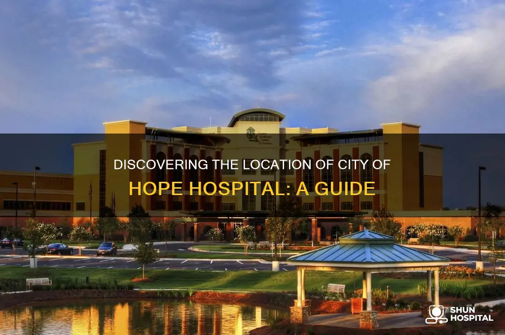 what is the city city of hope hospital located