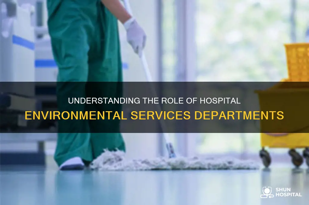 what is the cleaning personal department called in hospital