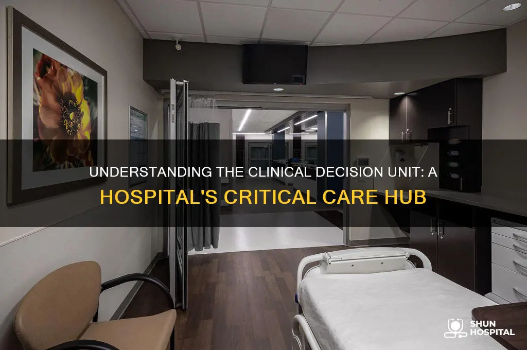 what is the clinical decision unit in a hospital