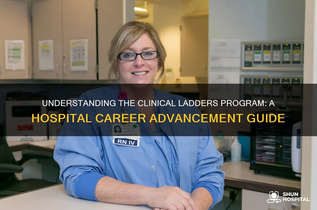 what is the clinical ladders program at the hospital
