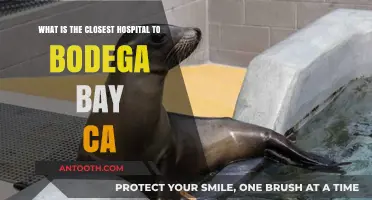 Closest Hospital to Bodega Bay, CA: Quick Access Guide
