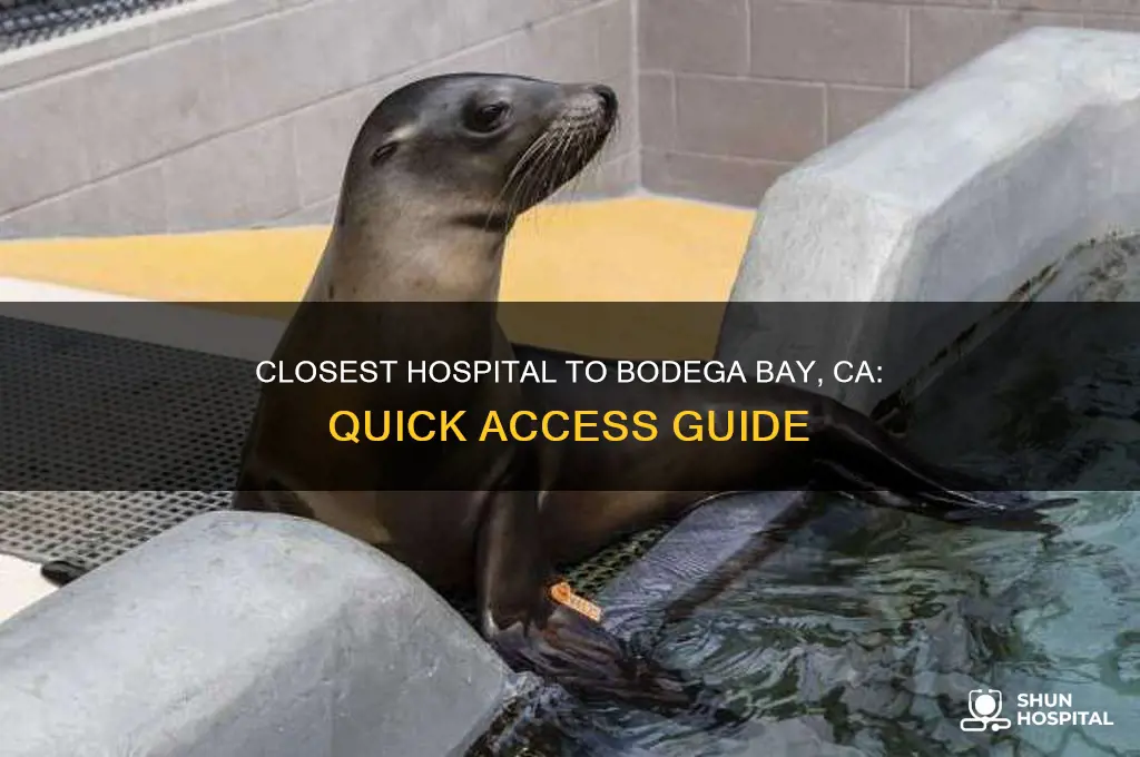 what is the closest hospital to bodega bay ca