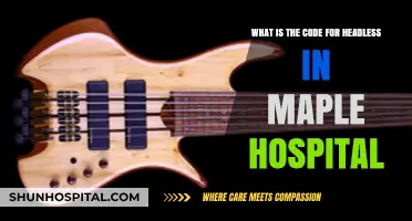 Understanding the Headless Code in Maple Hospital's System
