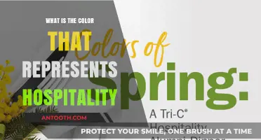 Hospitality Hues: Exploring the Color of Welcoming Spaces