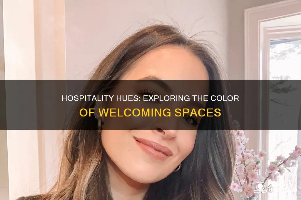 what is the color that represents hospitality