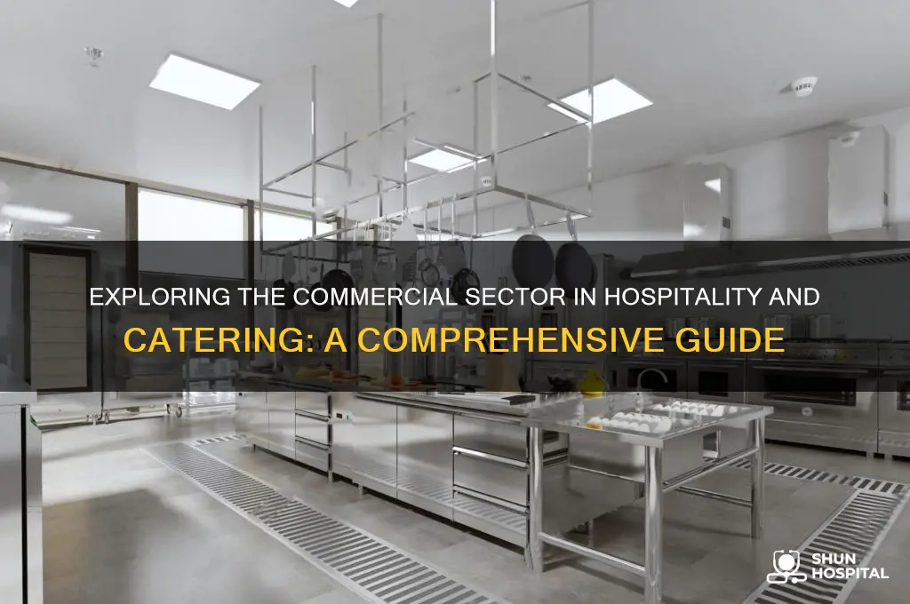 what is the commercial sector in hospitality and catering