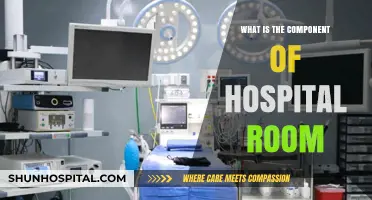 Designing Hospital Rooms: Components and Patient Care