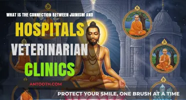 Jainism's Compassionate Influence on Veterinary Care and Hospitals