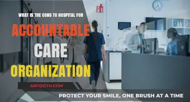 Hospital Challenges in Accountable Care Organizations: Key Cons Explained