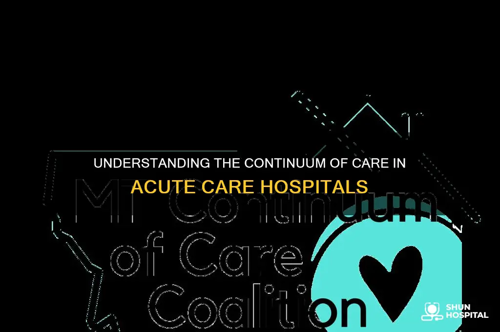 what is the continuum of care in acute care hospitals