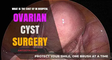 Understanding the Financial Impact of In-Hospital Ovarian Cyst Surgery