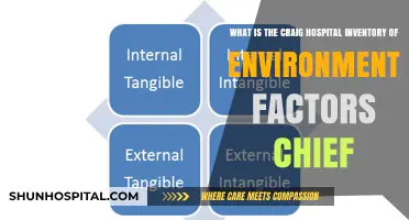 Understanding the Craig Hospital Inventory of Environmental Factors (CHIEF)