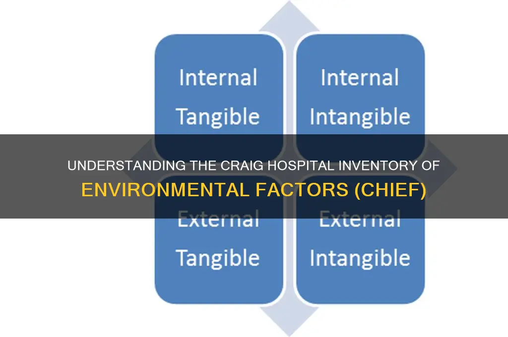 what is the craig hospital inventory of environmental factors chief