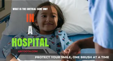 Understanding the Critical Care Unit: Lifesaving Hospital Care Explained