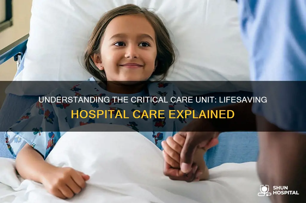 what is the critical care unit in a hospital