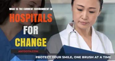 Navigating Hospital Change: Current Challenges and Opportunities for Transformation