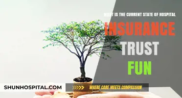 Hospital Insurance Trust Fund: Current State and Future Outlook