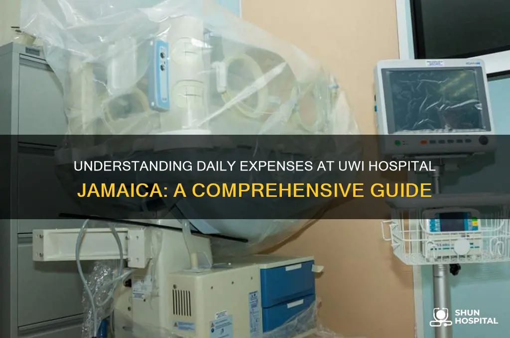 what is the daily cost at uwi hospital jamaica