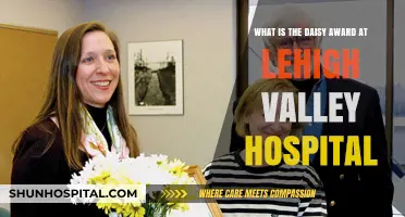 Understanding the DAISY Award at Lehigh Valley Hospital: Honoring Nursing Excellence