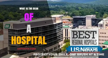 The Hospital Dean: Role and Responsibilities Explained