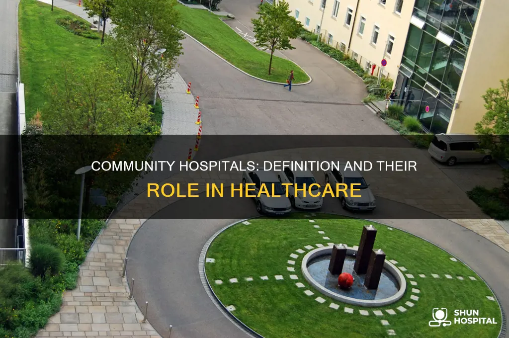 what is the definition of community hospital