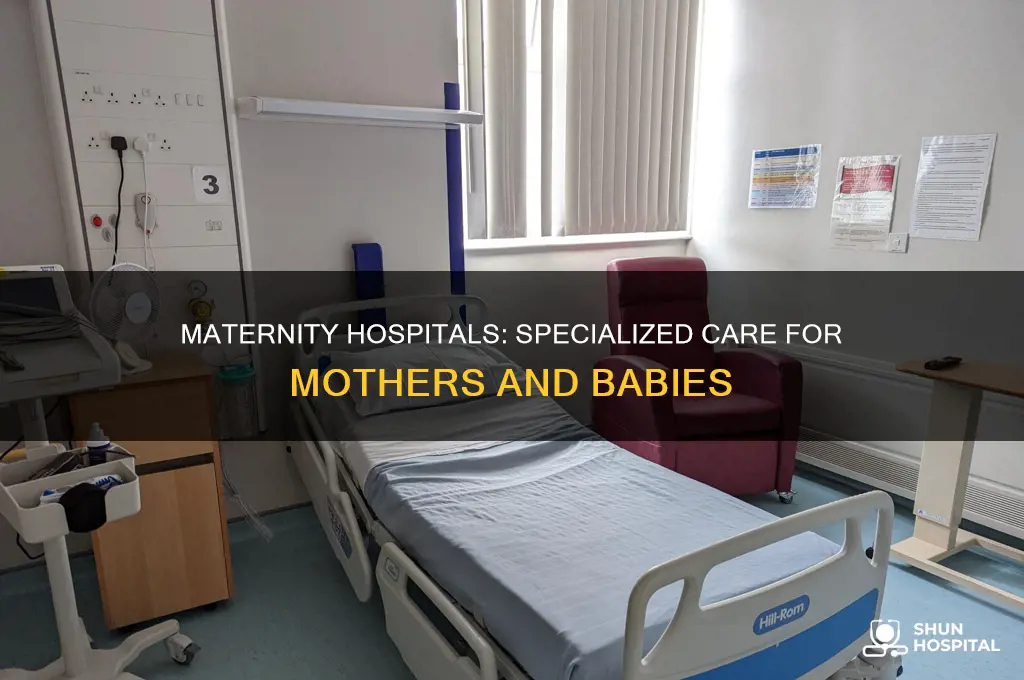what is the definition of maternity hospital