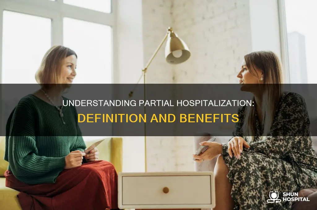 what is the definition of partial hospitalization