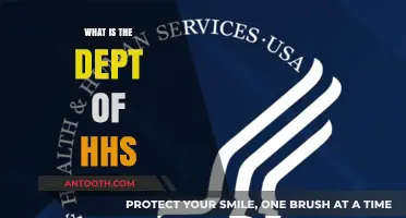 Understanding the Role and Responsibilities of the Department of Health and Human Services