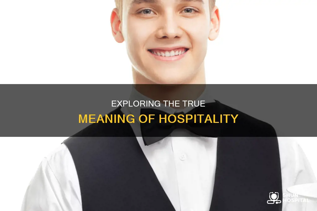 what is the dictionary definition of hospitality