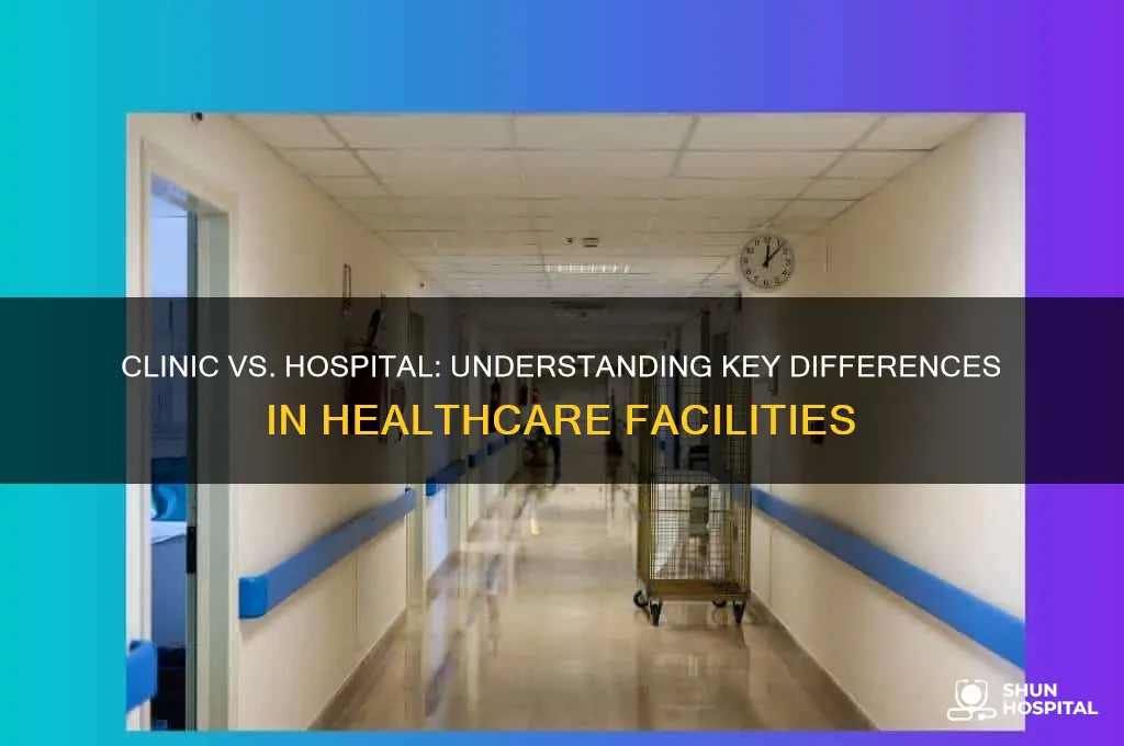 what is the difference between a clinic and a hospital
