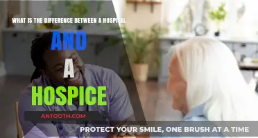 Hospitals vs. Hospices: Understanding Their Unique Roles in Healthcare