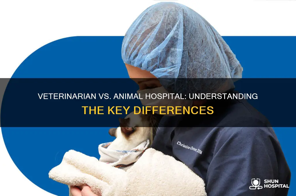 what is the difference between a veterinarian and animal hospital