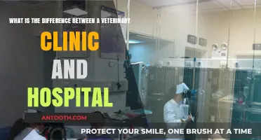 Veterinary Clinics vs. Hospitals: Understanding the Key Differences