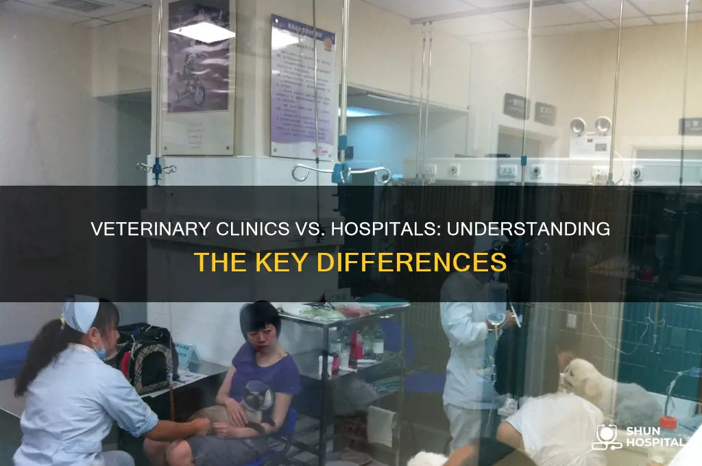 what is the difference between a veterinary clinic and hospital