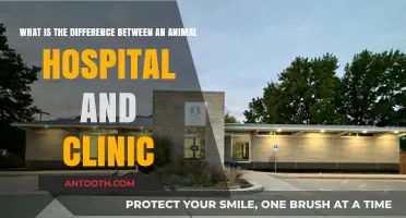Animal Hospital vs. Clinic: Understanding the Key Differences and Services