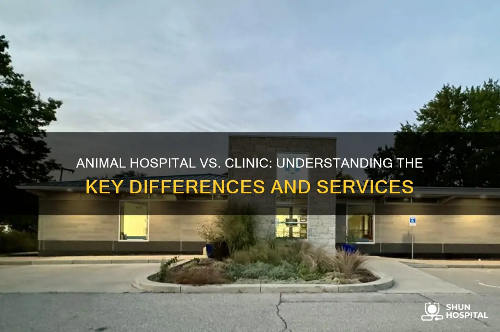 what is the difference between an animal hospital and clinic