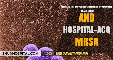 Community vs. Hospital MRSA: Key Differences Explained
