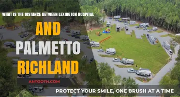 Lexington Hospital to Palmetto Richland: Distance and Travel Guide