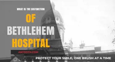 The Unique History of London's Bethlehem Hospital