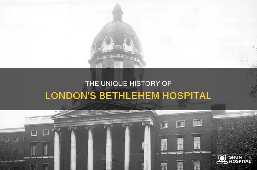 what is the distinction of bethlehem hospital
