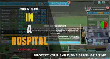 Understanding the Hospital's Department of Anesthesia