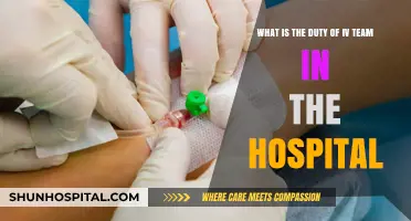 IV Team's Critical Role: Ensuring Safe and Effective Vascular Access