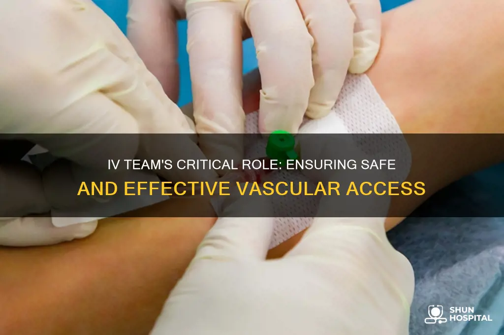 what is the duty of iv team in the hospital
