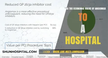 Economic Impact of Angiomax: Hospital Cost-Benefit Analysis Revealed