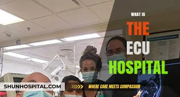 Exploring the ECU Hospital: A Comprehensive Guide to Emergency Care